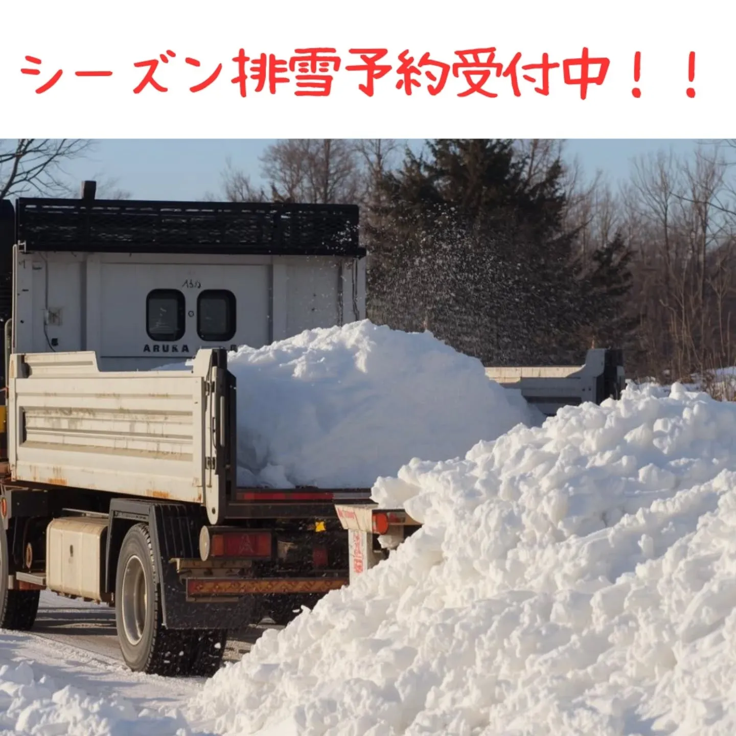 🌨️✨ この冬、排雪の心配ゼロへ！ ✨🌨️