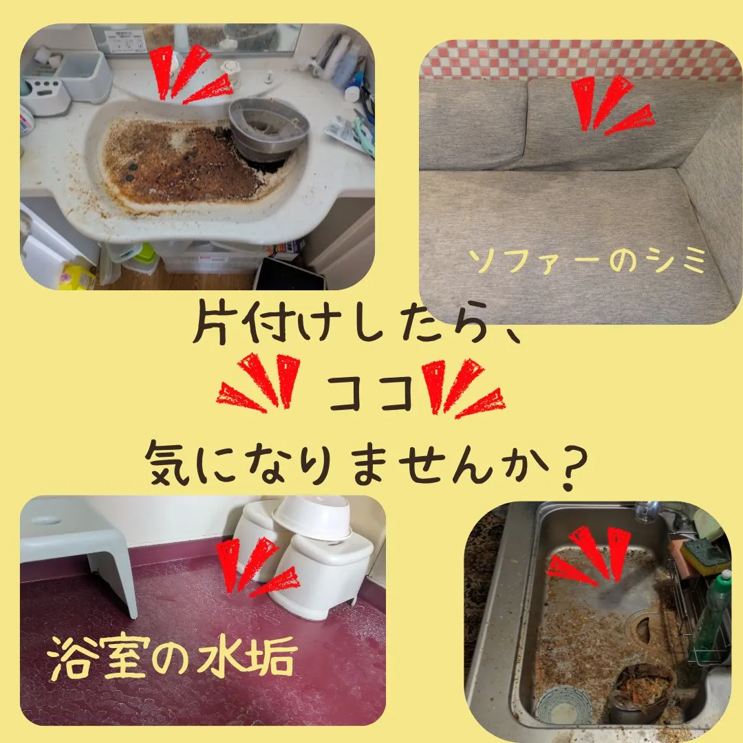 春の片付け・清掃のご依頼が急増中です🌸