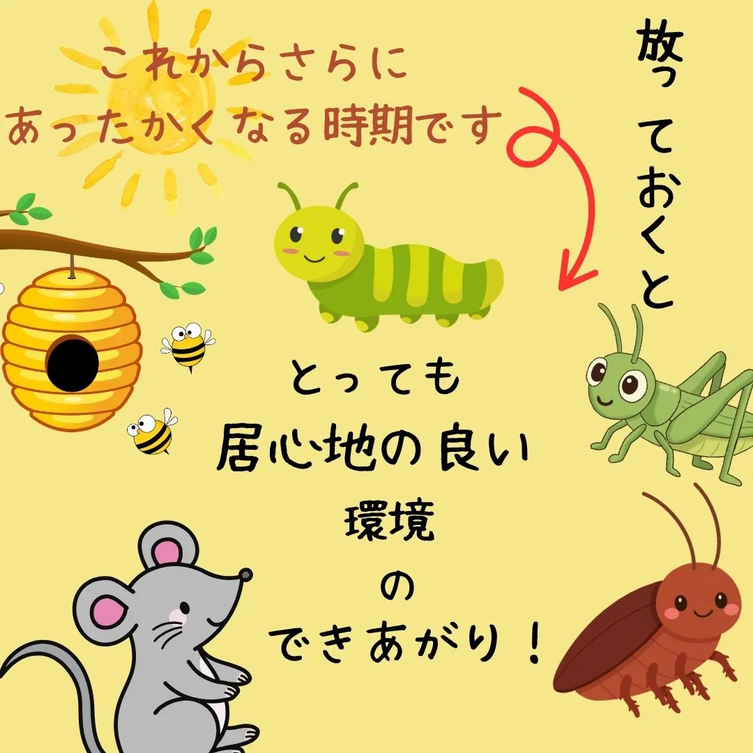 【草が生い茂る前に、できる対策しませんか？】