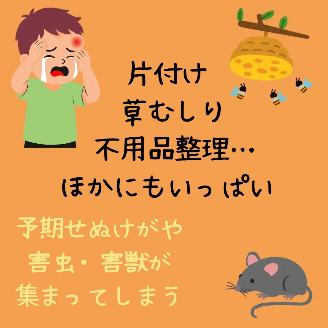 インスタで流れてくる、