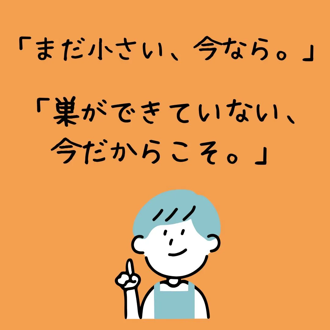 最近、蜂が飛んでいます🐝