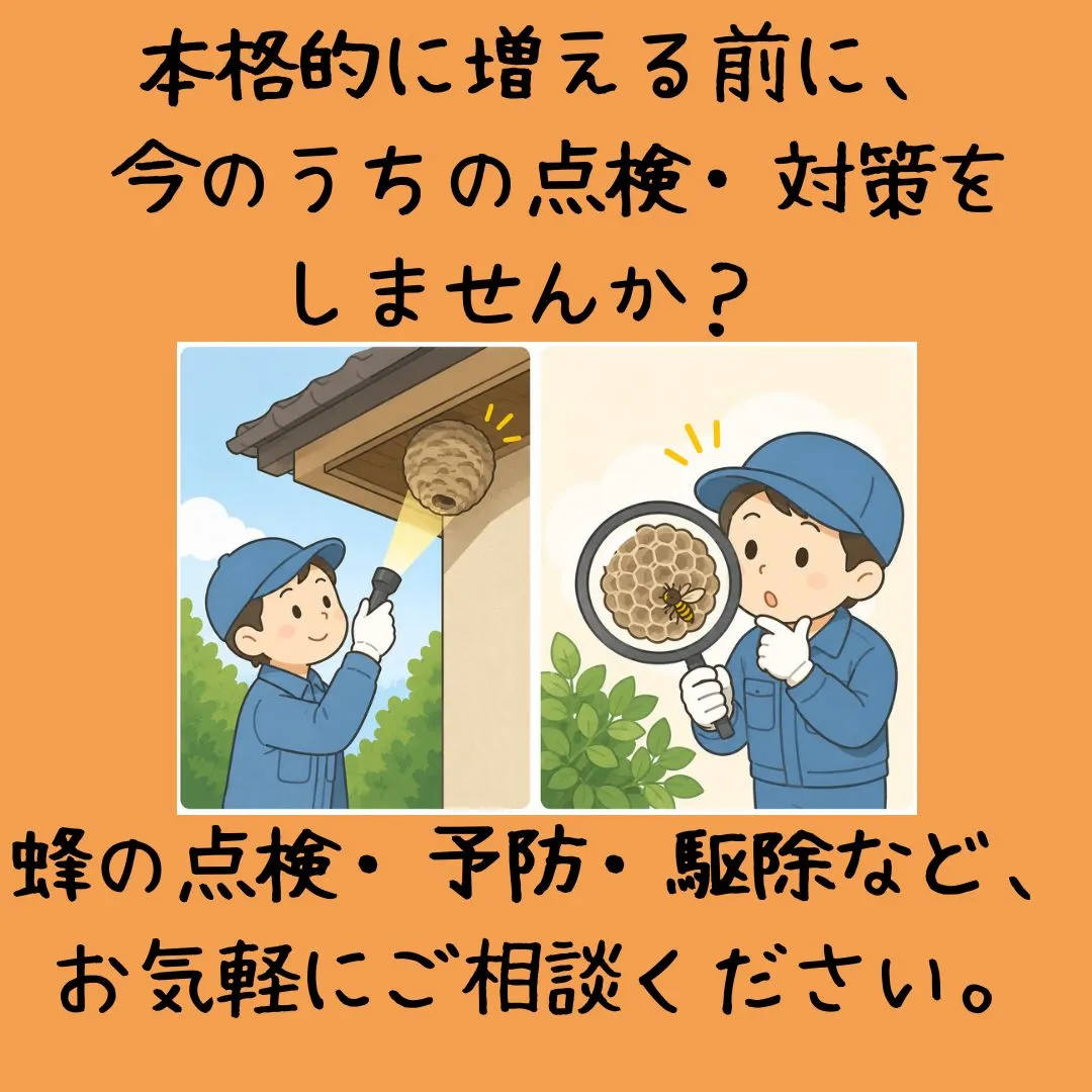 最近、蜂が飛んでいます🐝